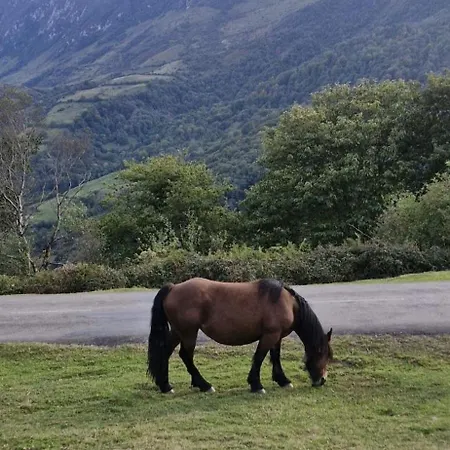 Casona Sariego Apartment *