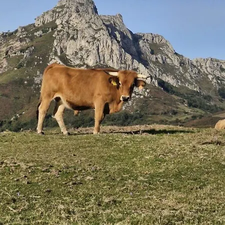 Apartment Casona Sariego Riosa